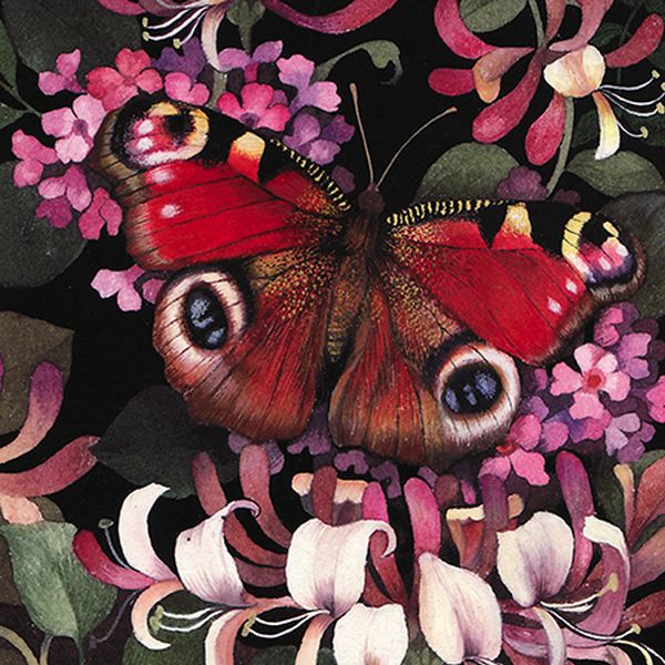 Card-Peacock Butterfly