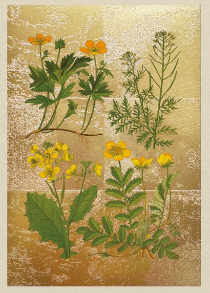 Foil Card-Wild Marsh