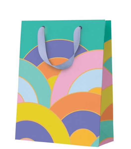 Gift Bag Medium-Rainbow Arcs