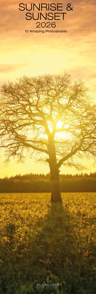 Allaluna 16x49 Cal-Sunrise & Sunset