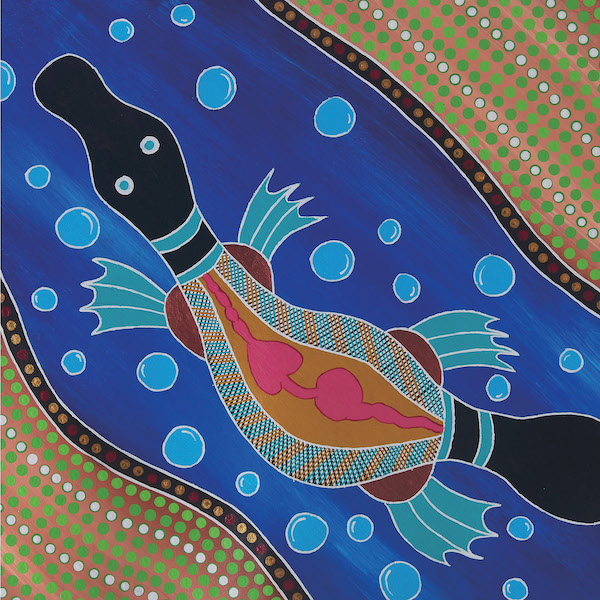 Card-Platypus in Stream