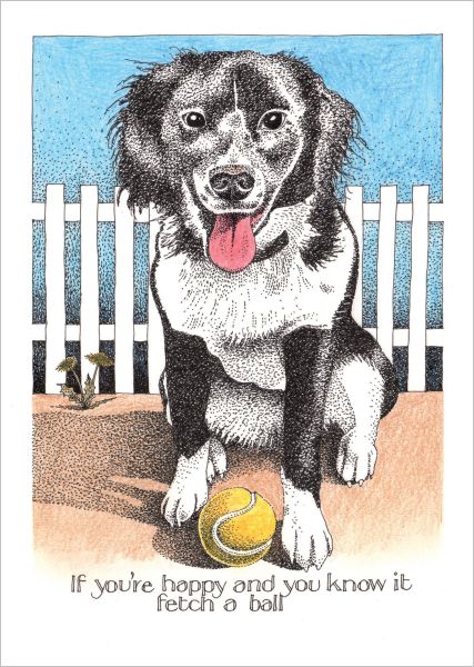 Card-Fetch A Ball