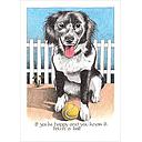 Card-Fetch A Ball