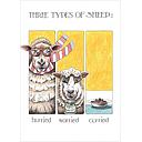 Card-Three Sheep