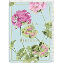 Laura Ashley Foil Card-Geranium