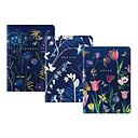 Kaleido Medium Notebook Set-Cyanotype Botanicals