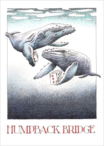 Card-Humpback Bridge