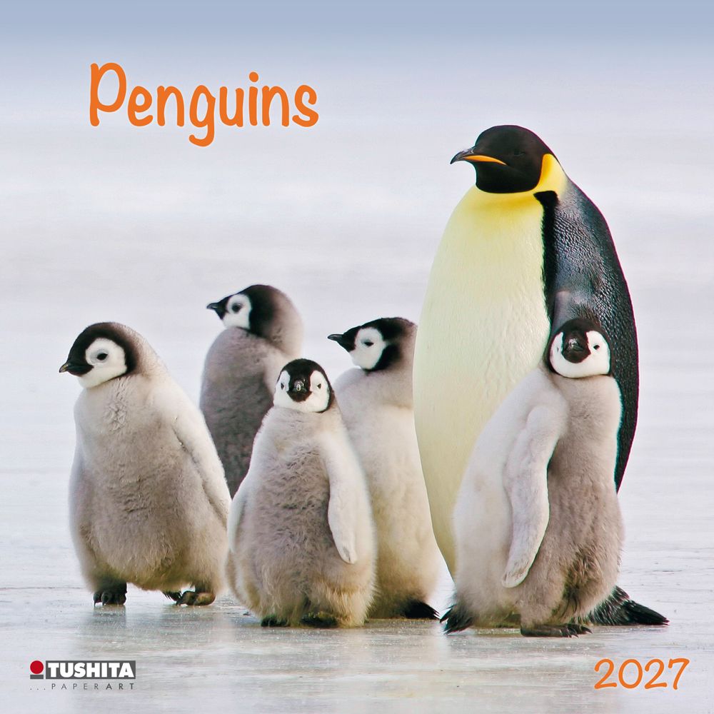 Tushita 30x30 Cal-Penguins