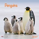 Tushita 30x30 Cal-Penguins