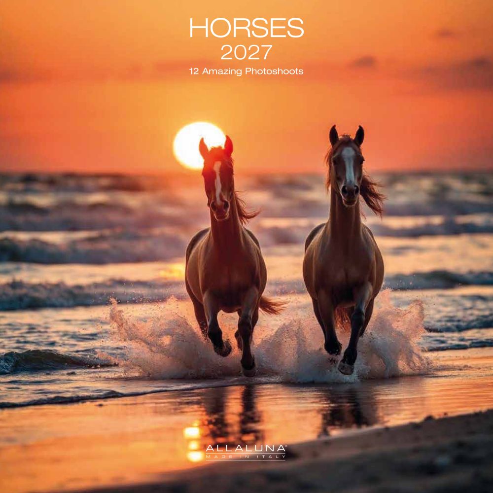 Allaluna 30x30 Cal-Horses