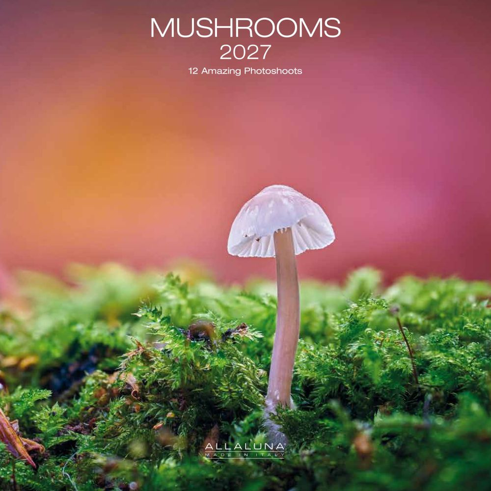 Allaluna 30x30 Cal-Mushrooms