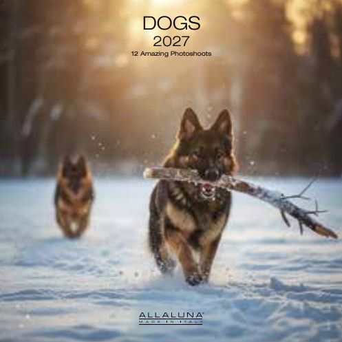 Allaluna 18x18 Cal-Dogs