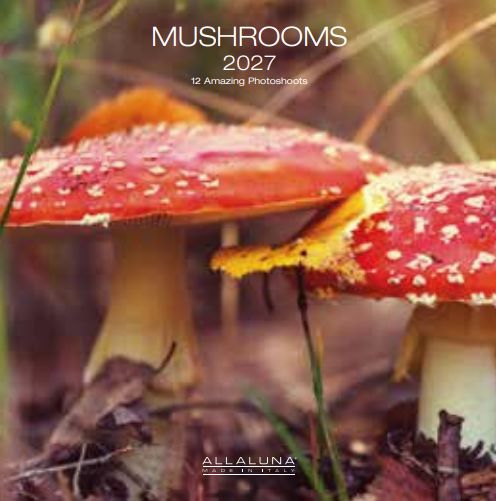 Allaluna 18x18 Cal-Mushrooms