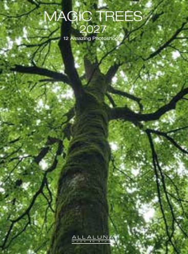 Allaluna 15x20 Desk Cal-Magic Trees