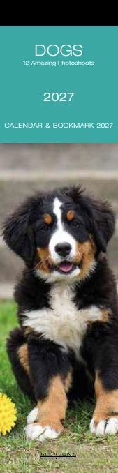 Allaluna 6x22 Bookmark Cal-Dogs