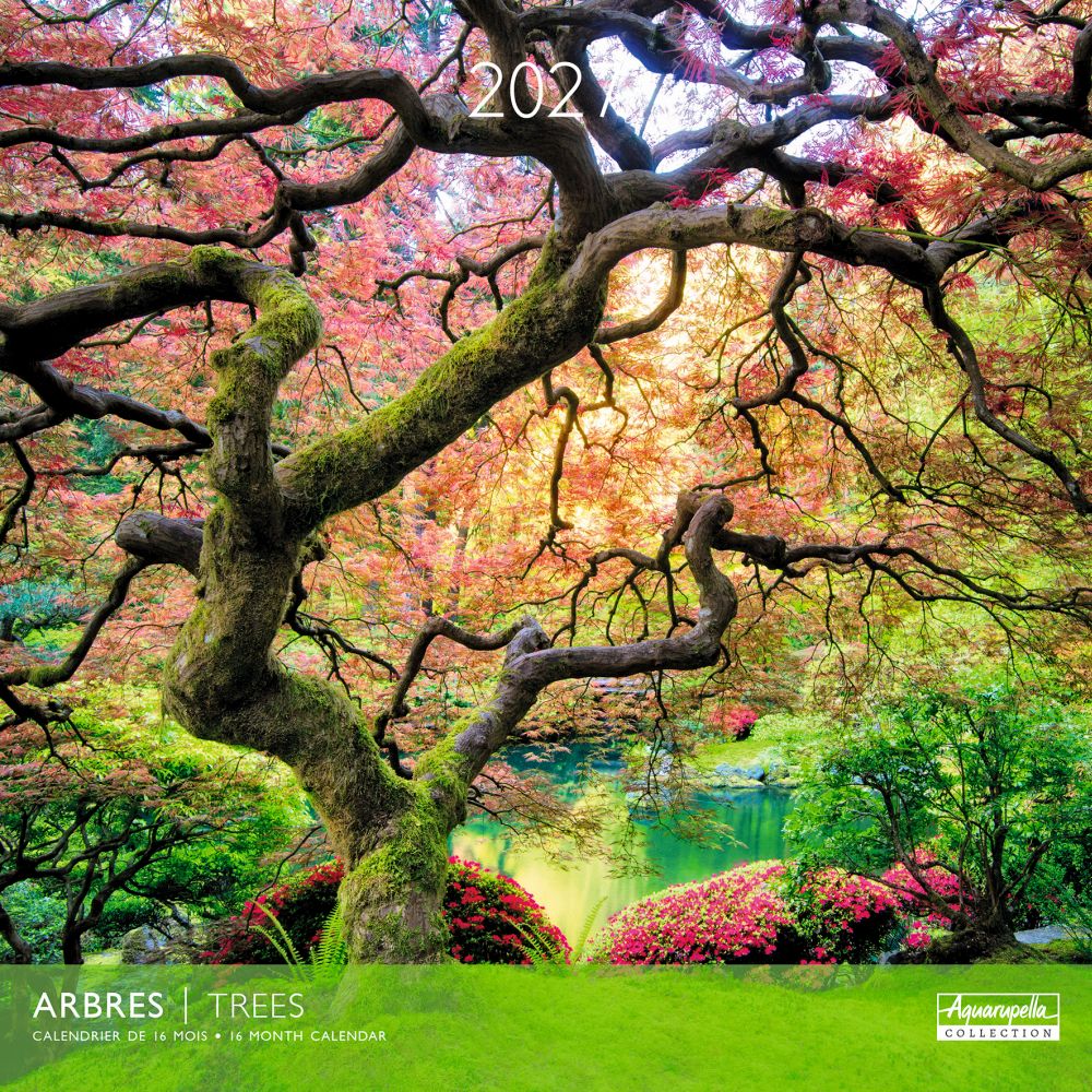 Aquarupella 30x30 Cal-Trees