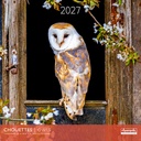 Aquarupella 30x30 Cal-Owls