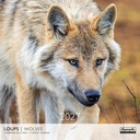 Aquarupella 30x30 Cal-Wolves