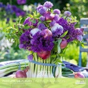 Aquarupella 30x30 Cal-Floral Fragances