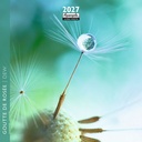 Aquarupella 16x16 Cal-Dew