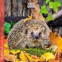 Aquarupella 16x16 Cal-Hedgehogs