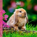 Aquarupella 16x16 Cal-Rabbits