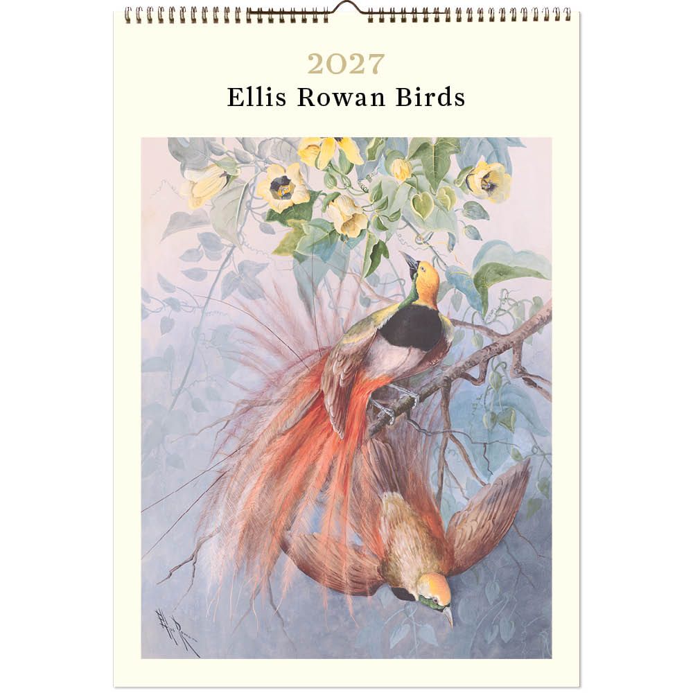 Vevoke Poster Calendar-Ellis Rowan Birds