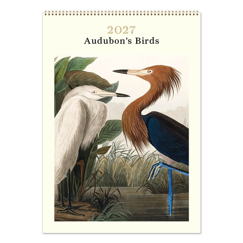 Vevoke Medium Calendar-Audubon's Birds