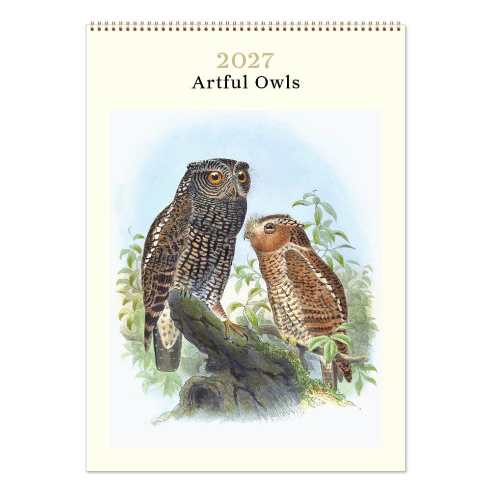 Vevoke Medium Calendar-Artful Owls