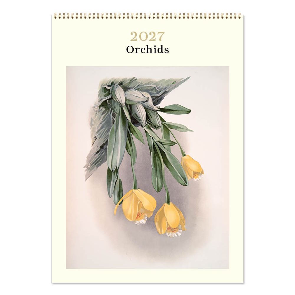 Vevoke Medium Calendar-Orchids