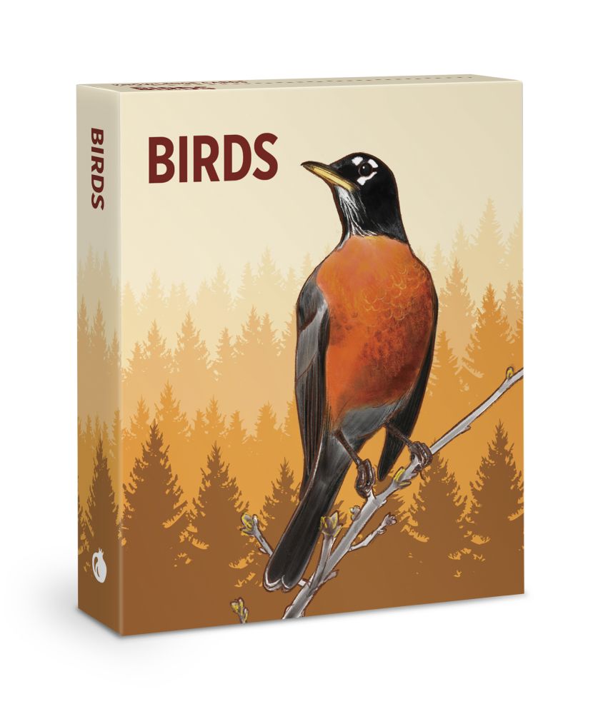 Knowledge Cards-Birds