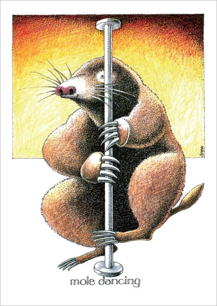 Card-Mole Dancing