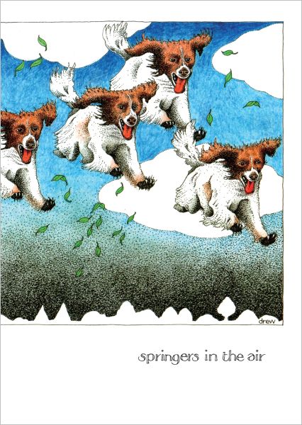 Card-Springers In The Air