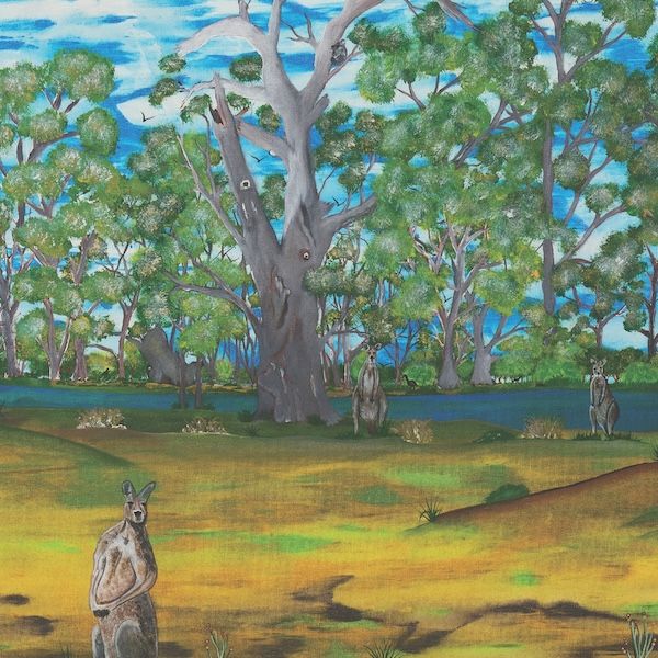 Card-Barmah State Forest