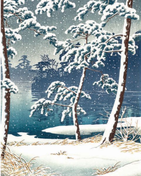 Card Pack of 6-Senzoku Pond