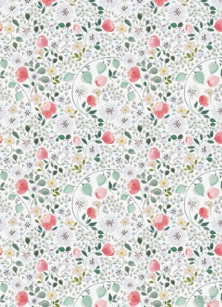 Wrap-White Calendula