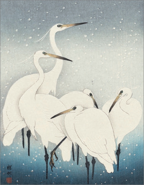 Card Pack of 6-Herons In The Snow