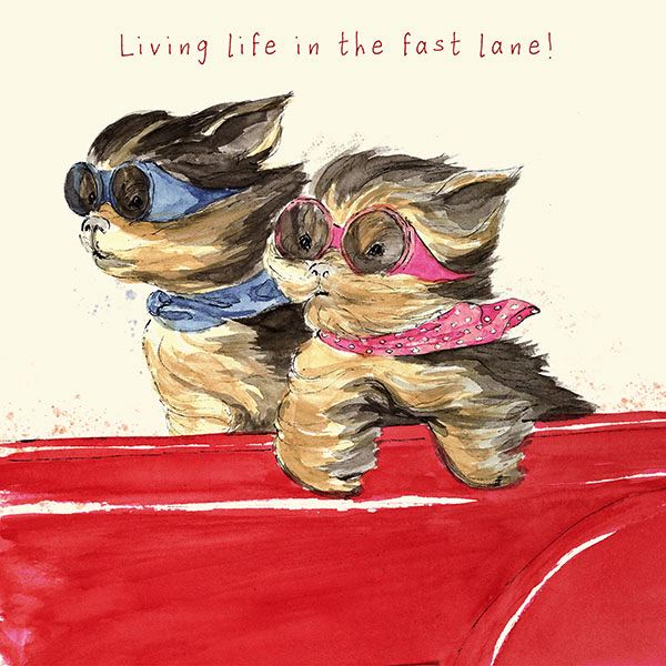 Card-The Fast Lane