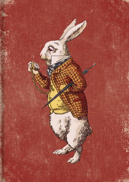 Card-White Rabbit