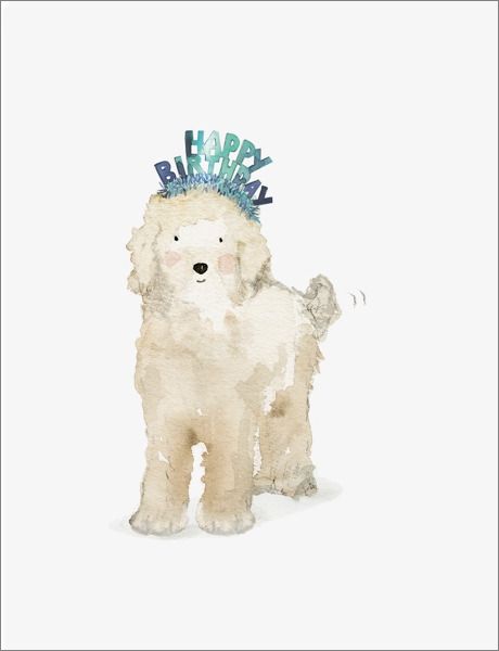 Card-Lucy Dog Birthday