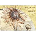 Card-Blessings of Peace