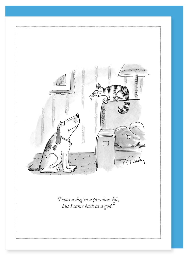 Card-Dog in Previous Life 