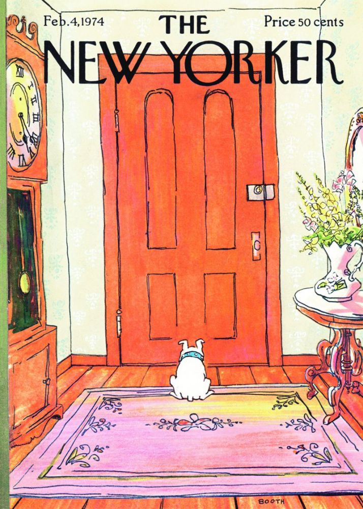 Card-Dog At The Door