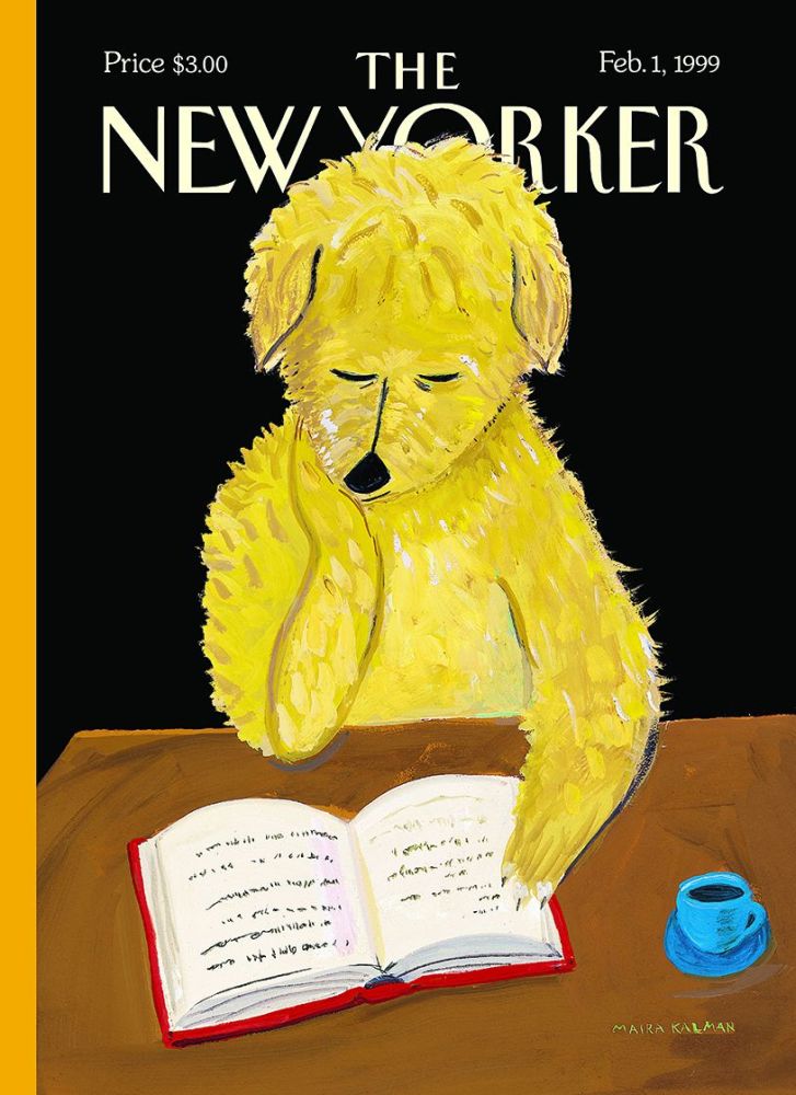 Card-Dog Reading