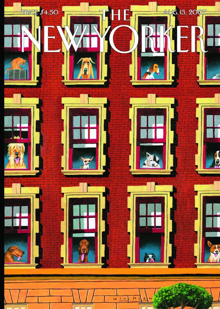 Card-Doggies In The Windows