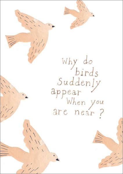 Card-Wren