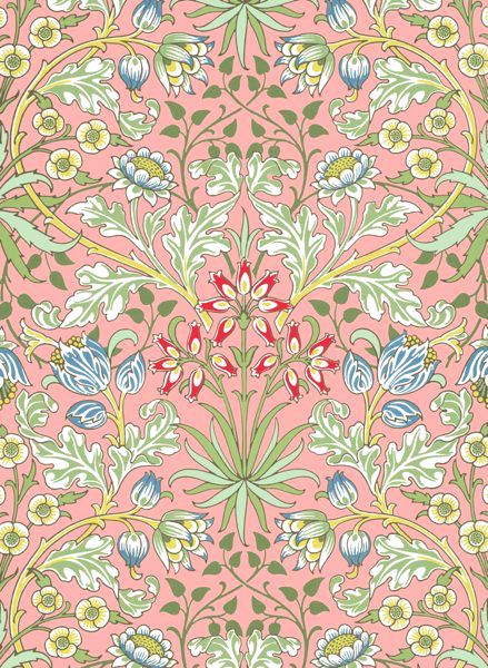Wrap-Hyacinth