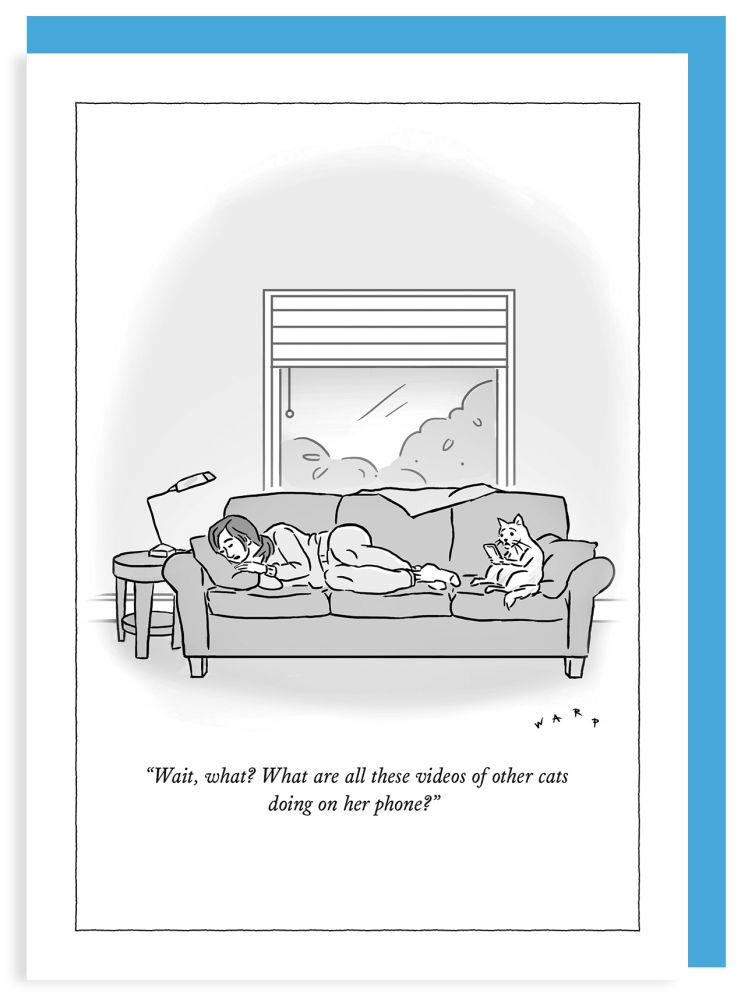 Card-Videos Of Other Cats