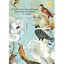 Card-Fine Feathers