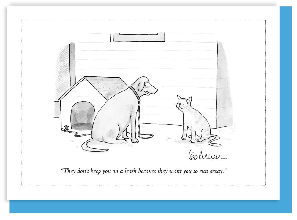 Card-They Want You To Run Away